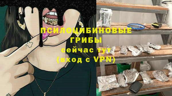 ECSTASY Бронницы