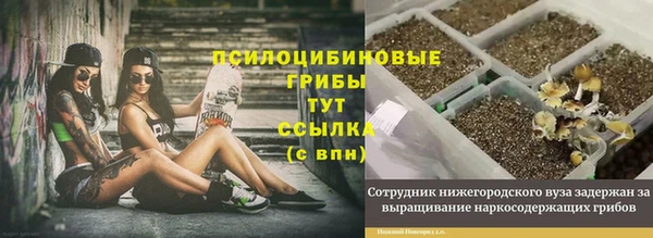 мдма Богданович