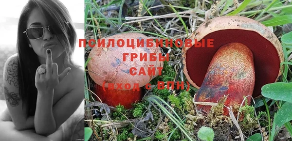 винт Богородицк